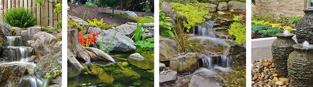 Choosing the Right Water Feature